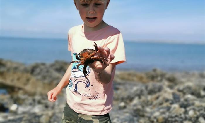 Sometimes its about getting up close and personal to nature to really learn just be careful they might try nipping your fingers!